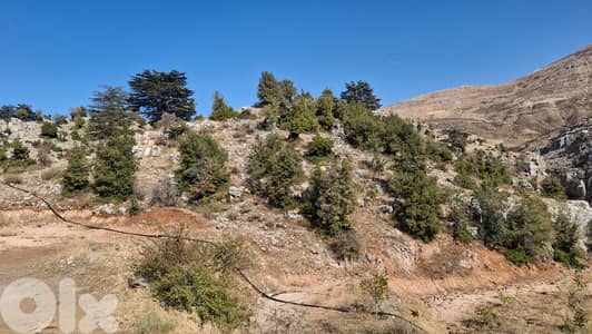 Land for sale in Abdine-Bcharre - أرض للبيع في عبدين - بشري
