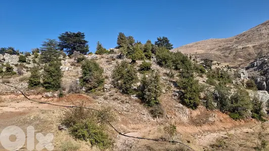 Land for sale in Abdine-Bcharre - أرض للبيع في عبدين - بشري