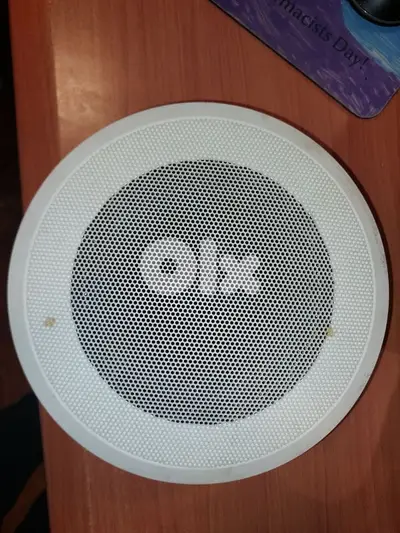 Ic audio Ceiling Speaker × 8 , made in germany