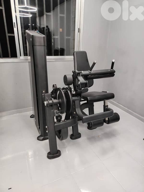 Leg ext / curl new heavy duty 1