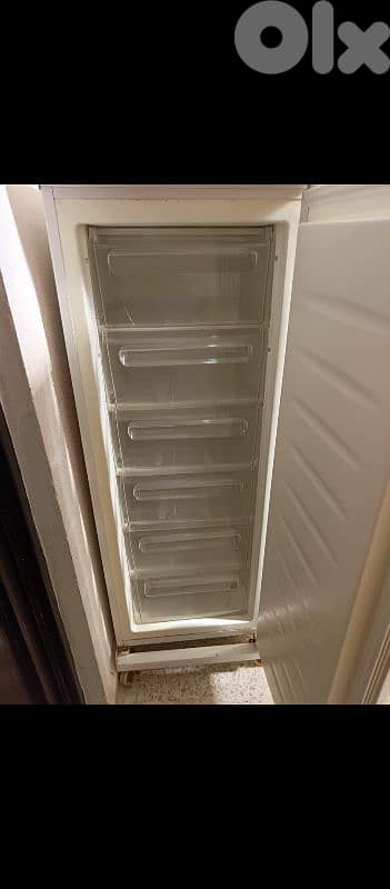 freezer 1