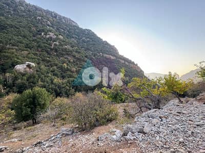 14,751m2 Prime Riverside Land+Mountain View in Tannourineأرض في تنورين
