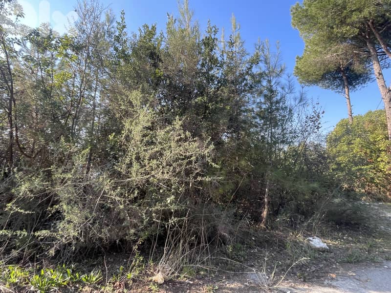 RWK554CA-  Land for Sale in Adma with a Breathtaking View 0