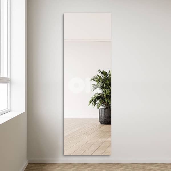 body mirrors 12