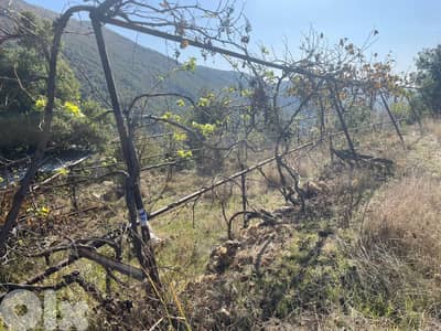 RWB181PK - Land for sale in Ehmej Jbeil
