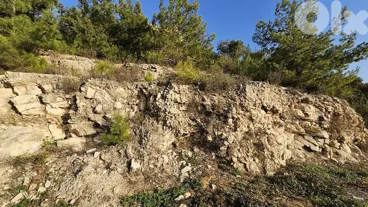 RWB514EA - Land for sale in Halat Jbeil