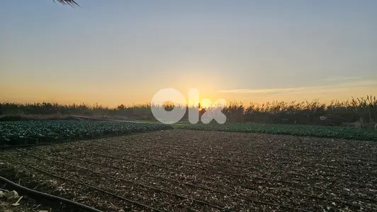 RWB518EA - Land for sale in Tabarja