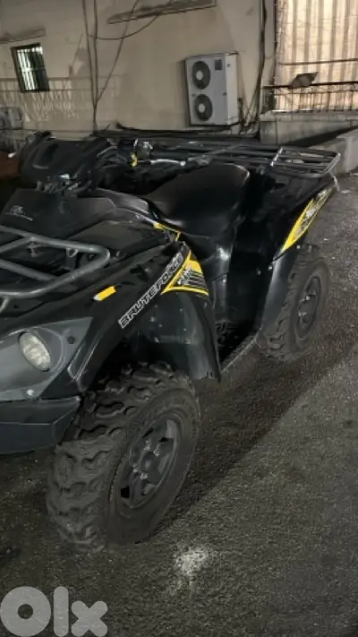 kawazaki brute force 2014 22000 meshe like new 750cc kawazaki brute force 2014 22000 meshe like new 750cc