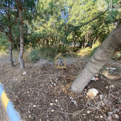Land for sale in New Sehaileh GH191 أرض للبيع في السهيلة