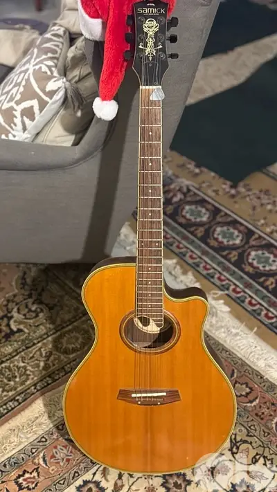 Special Acoustic-Electric Guitar (Samick)
