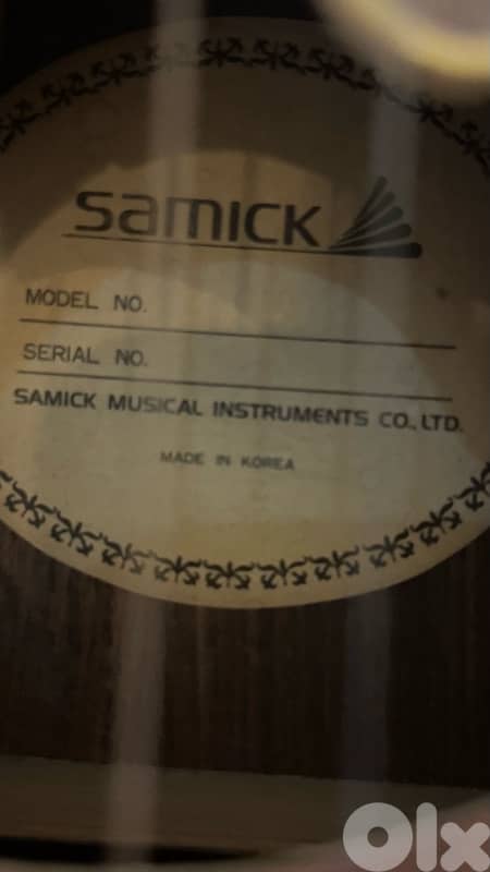 Special Acoustic-Electric Guitar (Samick) 5
