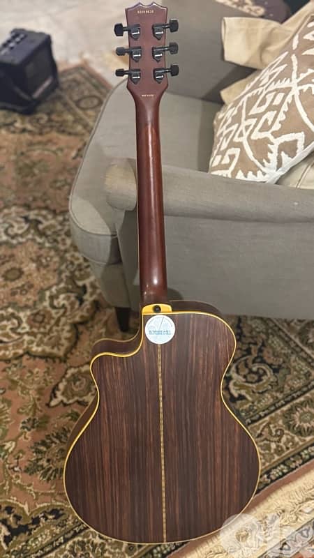 Special Acoustic-Electric Guitar (Samick) 6