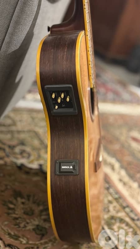 Special Acoustic-Electric Guitar (Samick) 7