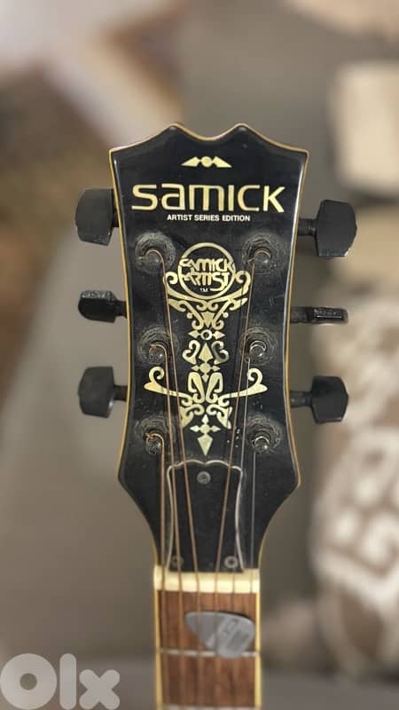 Special Acoustic-Electric Guitar (Samick) 8