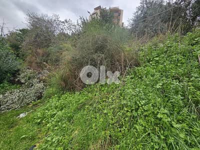 RWB259MT - Land for sale in Blat Jbeil