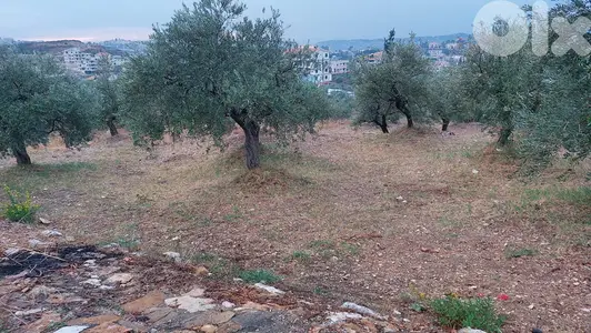 GMN104KG - Land for sale in Kfarsaroun - أرض للبيع في كفرصارون
