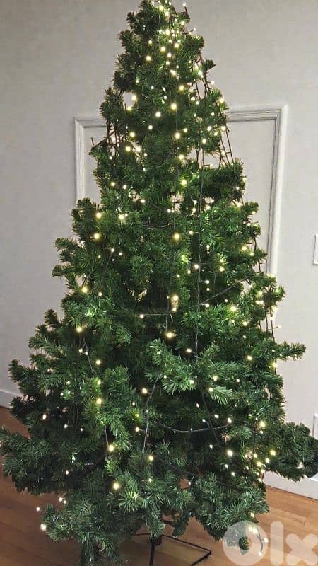 Sapin 0