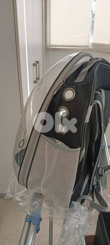 cat bag 1