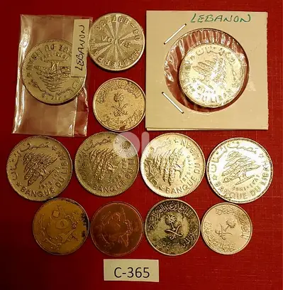 Scrap 12 coins/ token Lot# C-365 خردة