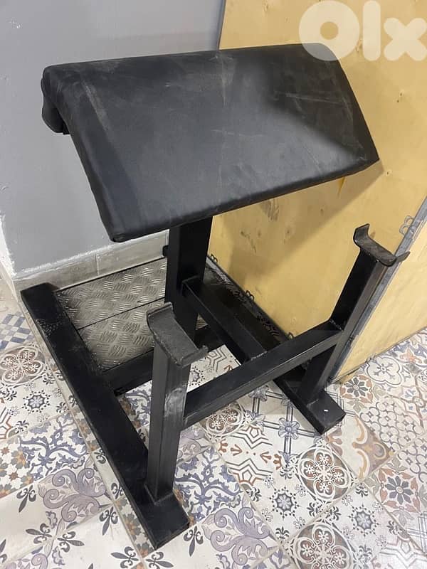 Stand biceps like new 1