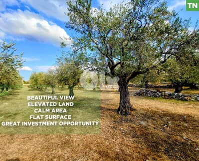 unobstructed open view, great deal, zgharta, bnache/بنشعي REF#TN129256