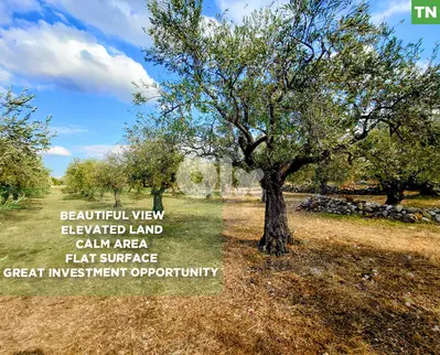 unobstructed open view, great deal, zgharta, bnache/بنشعي REF#TN129256
