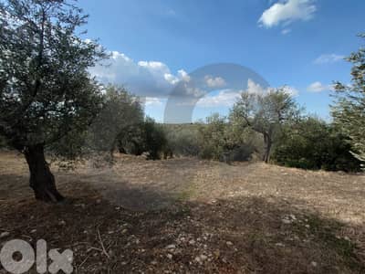 unobstructed open view, great deal, zgharta, bnache/بنشعي REF#TN129256