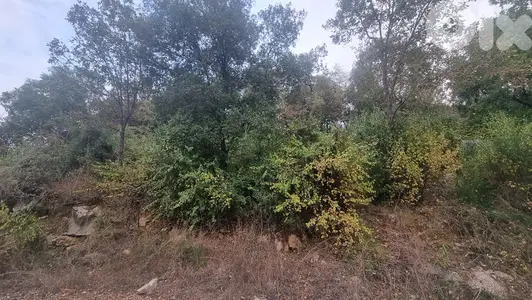 GMC130MAN - Land for Sale in Kneitra - أرض للبيع في قنيطرة