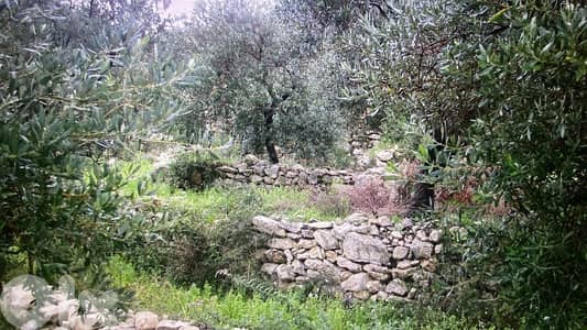 RWB321CA - Land for sale in Barbara Jbeil