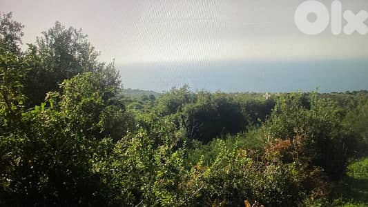 RWB321CA - Land for sale in Barbara Jbeil