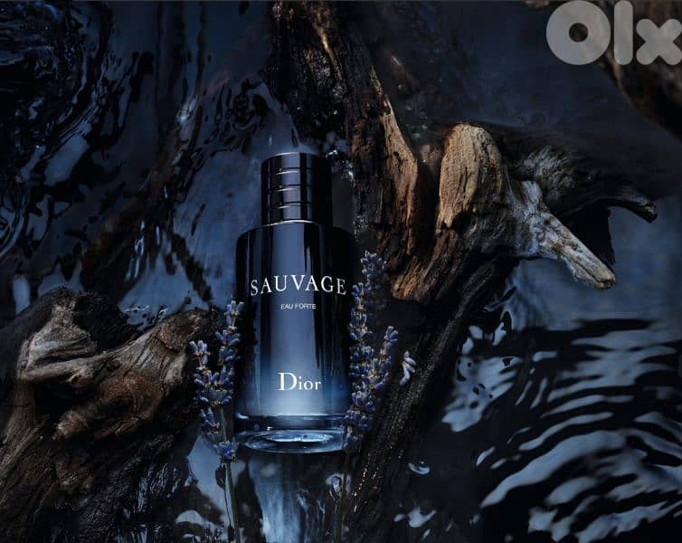 MEN AND WOMEN PERFUMES 3