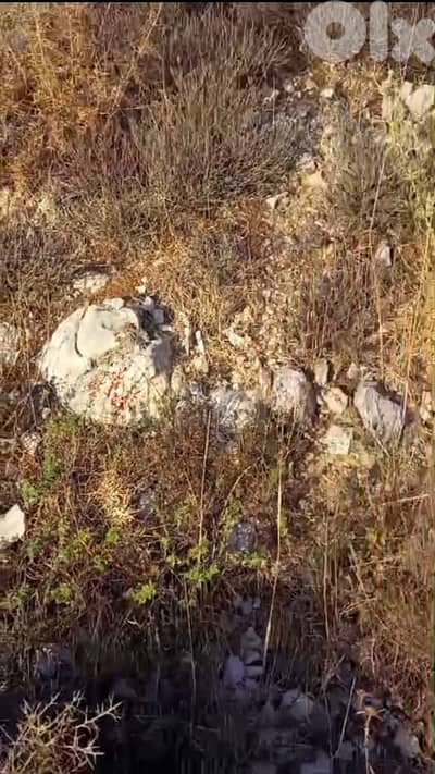 Land For Sale In Mechmech - أرض للبيع في مشمش