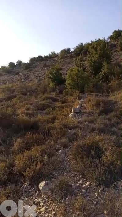 Land For Sale In Mechmech - أرض للبيع في مشمش