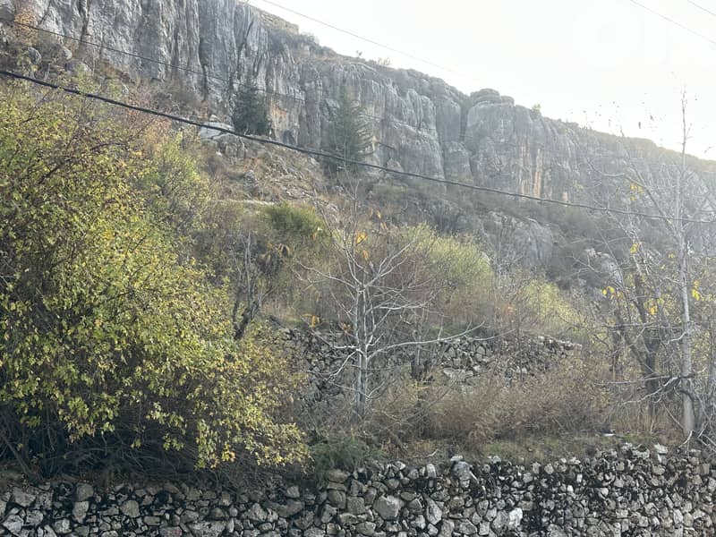 RWK124DZ - Land for sale in faraya 0