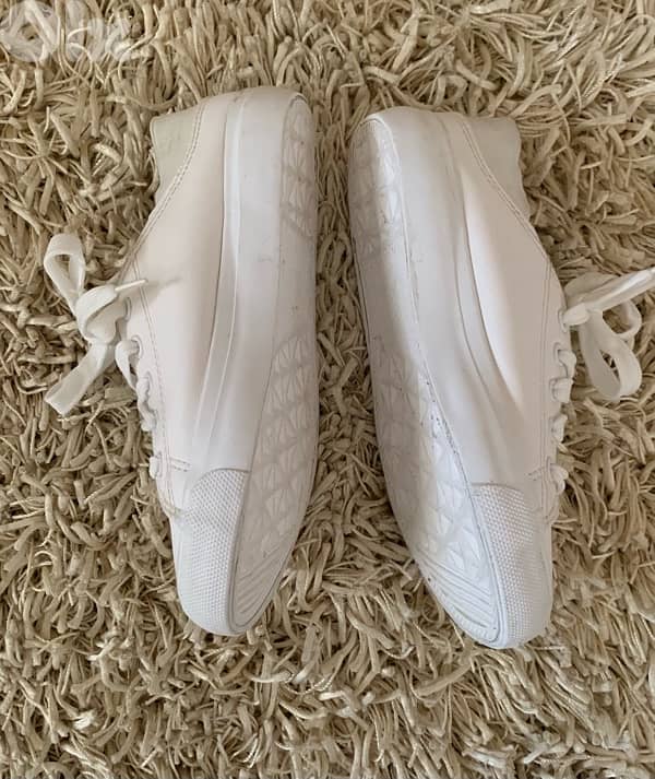 converse from Europe 3