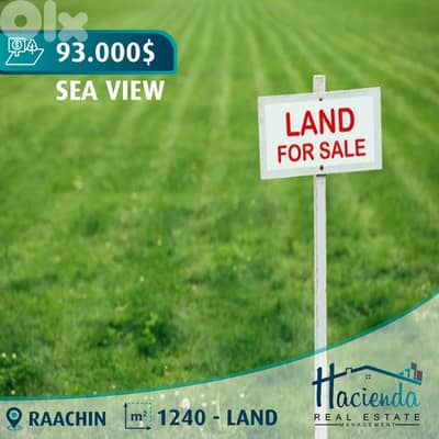 Land For Sale In Raachin