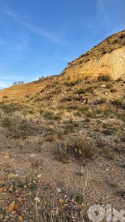 1160m² Land For Sale In Laklouk أرض للبيع في اللقلوق