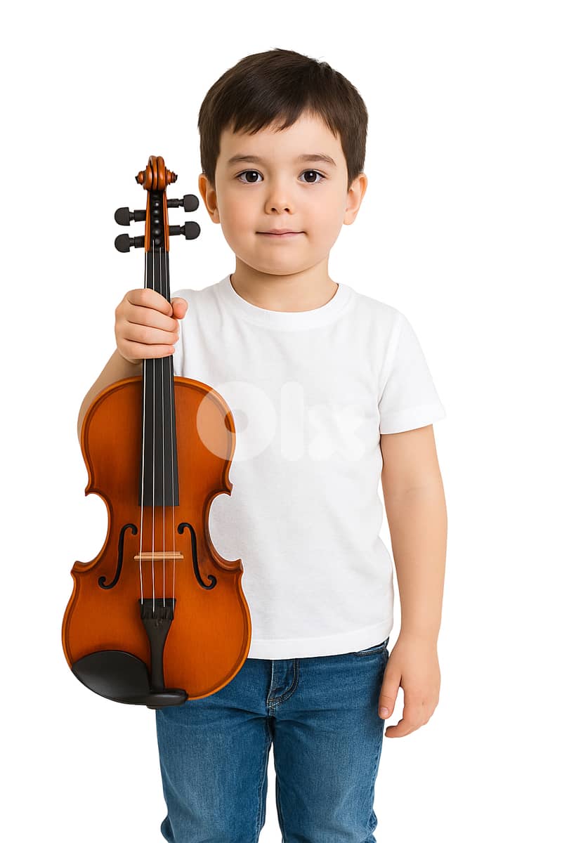 Deviser 3/4 size acoustic violin with case 0