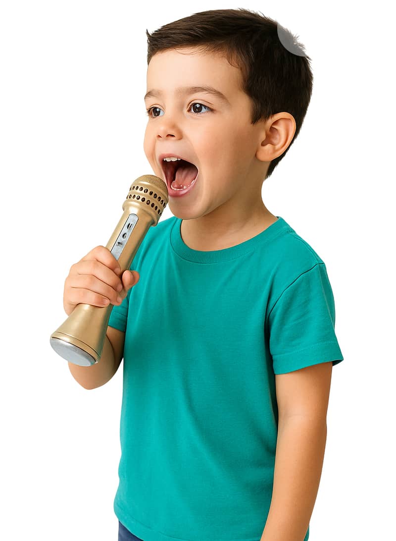 SINGING MIC WITH SPEAKER BUILT-IN - WIRELESS Karaoke 0
