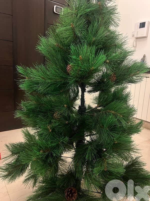 Christmas tree 0