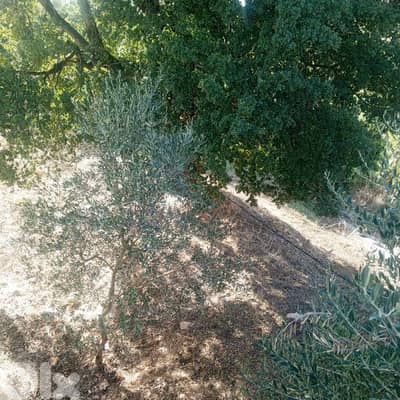 GMB115SZ Land For Sale In Kfar baal Annaya  أرض للبيع في كفر بعل عنايا