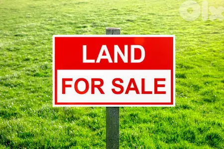 Land for sale in Tannourine Hot Deal ارض للبيع في تنورين