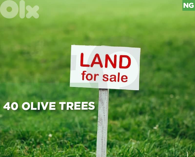 Land for Sale in abey  REF#NG129589 0