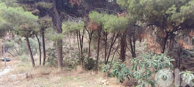 Prime Location Land For Rent In Mtayleb ارض للاجار في المطيلب