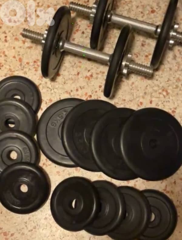 treadmill dumbbels bench weight plates 5