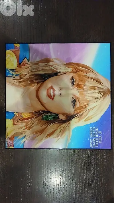 Taylor swift, wooden and plastic frame