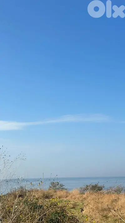 Land for sale in Kfaraabida-Batroun أرض للبيع في كفرعبيدا - البترون