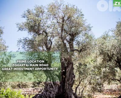 rare chance, prime area, zgharta, main road/زغرتا  REF#ZY129691
