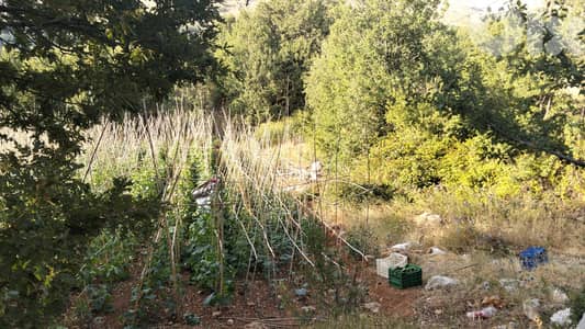 Land for Sale – Baskinta / Sannine