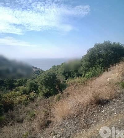 land for sale ارض للبيع